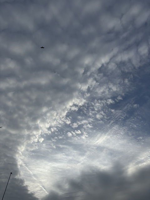 20251104_第419回_I'm grateful for this encounter..jpg