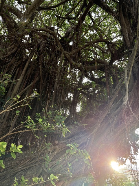 20251111_第420回_thank you for everything.jpg